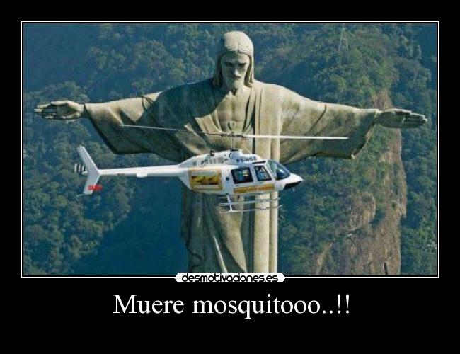 Muere mosquitooo..!! -
