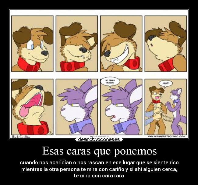 Esas caras que ponemos - cuando nos acarician o nos rascan en ese lugar que se siente rico
mientras la otra persona te mira con cariño y si ahi alguien cerca,
te mira con cara rara