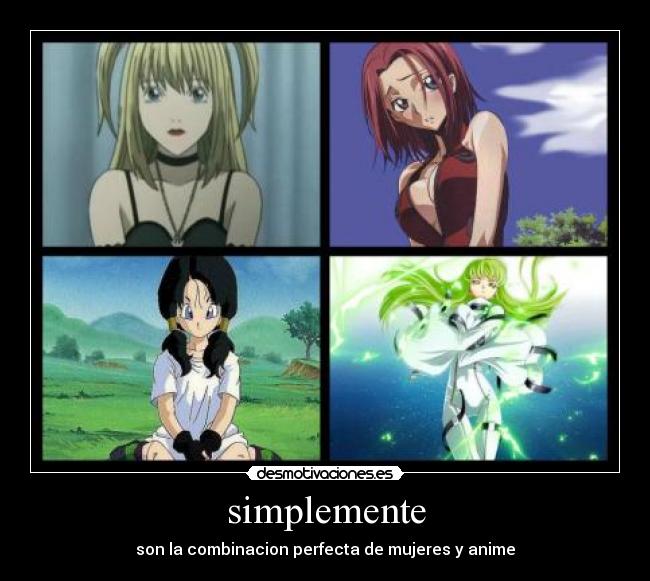 carteles animes videl misa kallen desmotivaciones