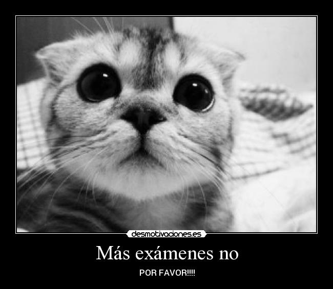 Más exámenes no - POR FAVOR!!!!
