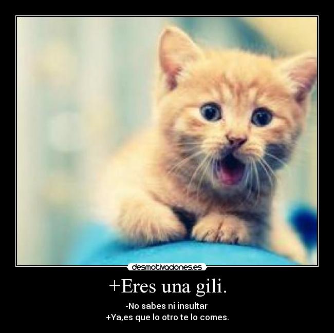 +Eres una gili. - 