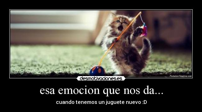 esa emocion que nos da... - 