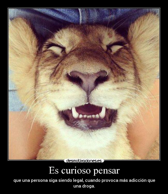 carteles manelperez sera una tonteria pero eres droga desmotivaciones