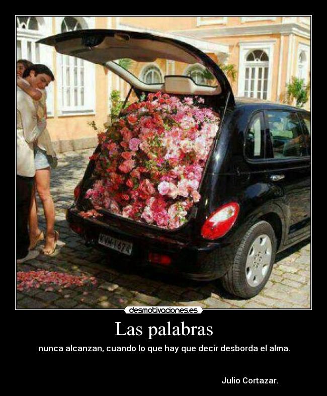 Las palabras - nunca alcanzan, cuando lo que hay que decir desborda el alma.
Julio Cortazar.