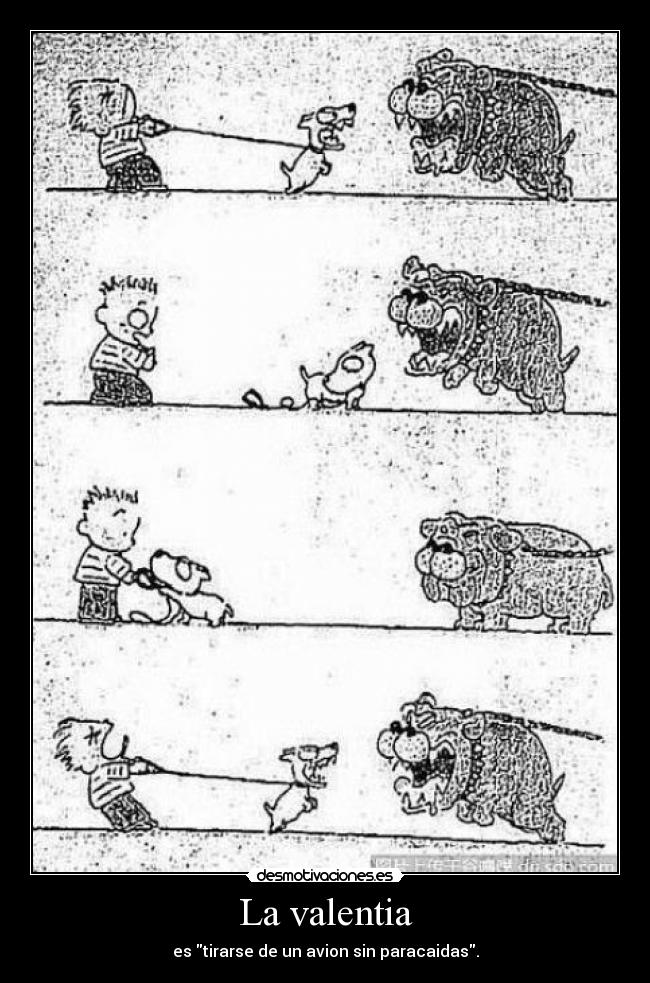 La valentia - es tirarse de un avion sin paracaidas.