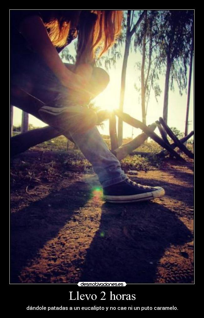 Llevo 2 horas - dándole patadas a un eucalipto y no cae ni un puto caramelo.