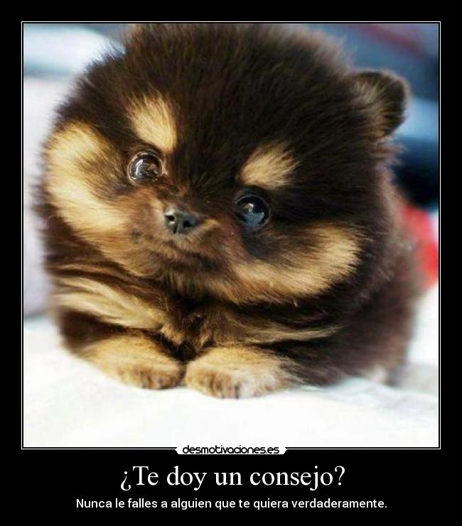 ¿Te doy un consejo? - Nunca le falles a alguien que te quiera verdaderamente.