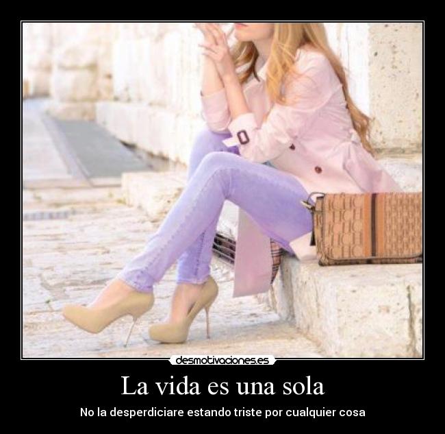 La vida es una sola - 