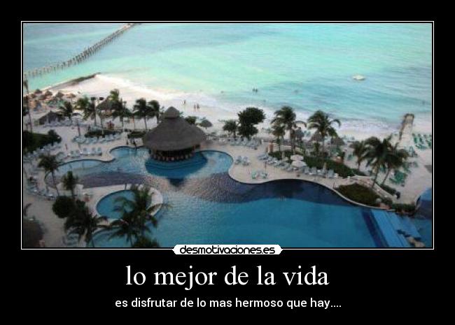 carteles vida 1000 desmotivaciones