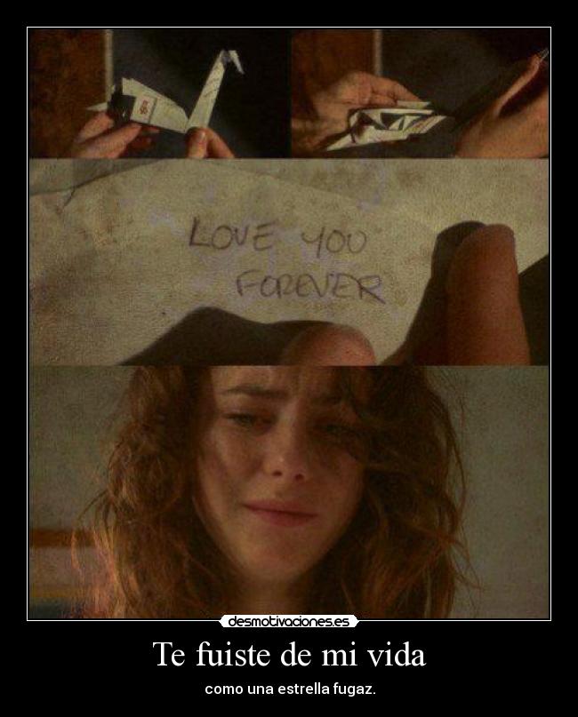 Te fuiste de mi vida - como una estrella fugaz.