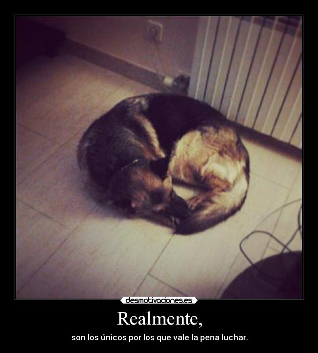 Realmente, -
