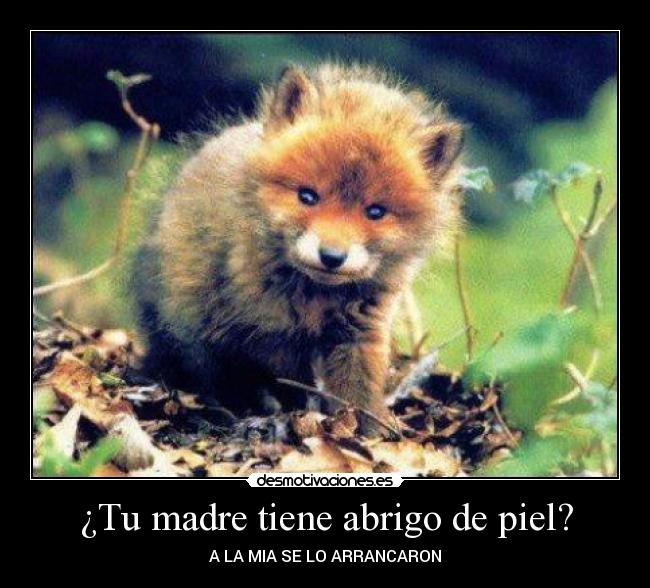 ¿Tu madre tiene abrigo de piel? - A LA MIA SE LO ARRANCARON