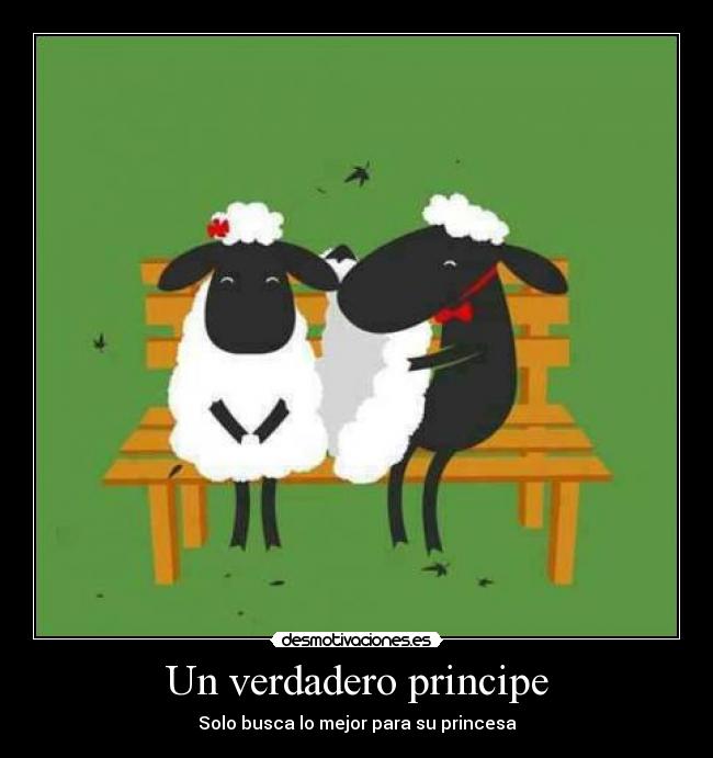 Un verdadero principe - Solo busca lo mejor para su princesa