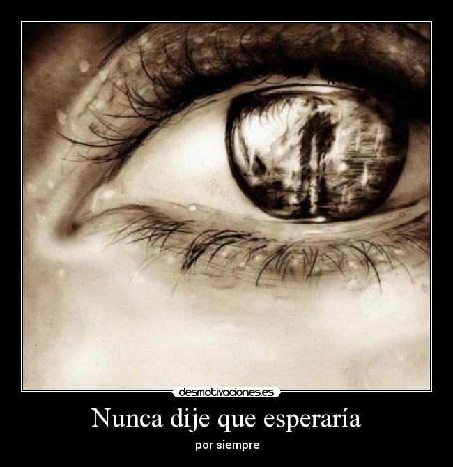 Nunca dije que esperaría -