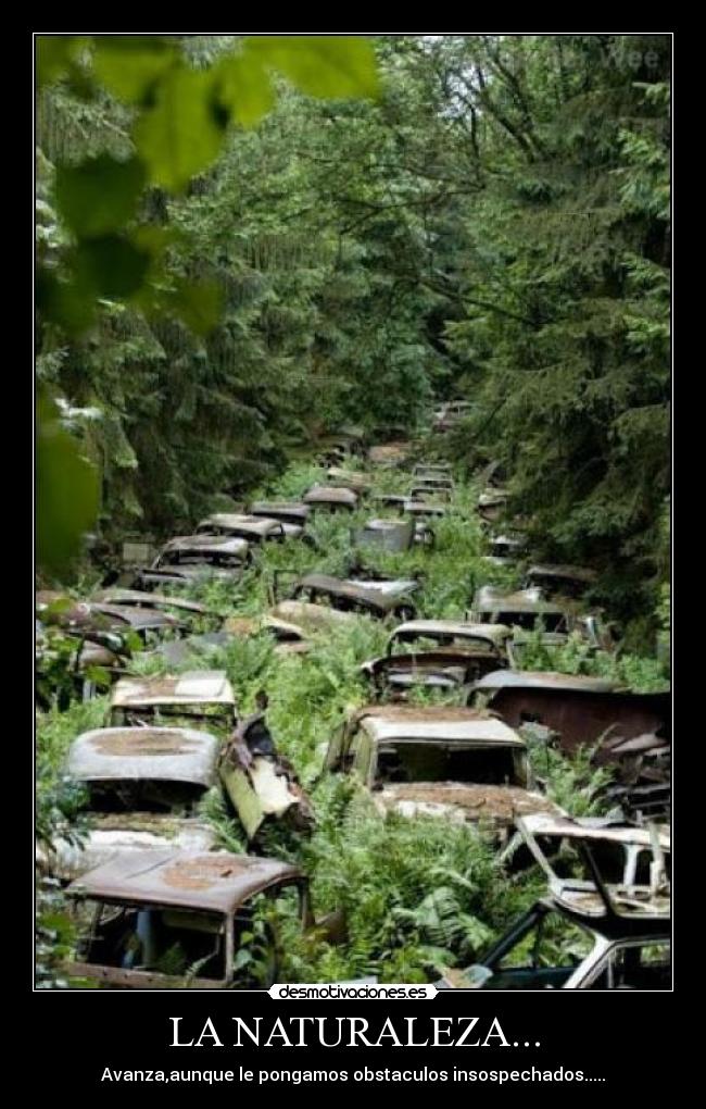 LA NATURALEZA... - Avanza,aunque le pongamos obstaculos insospechados.....