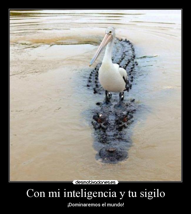 Con mi inteligencia y tu sigilo - ¡Dominaremos el mundo!