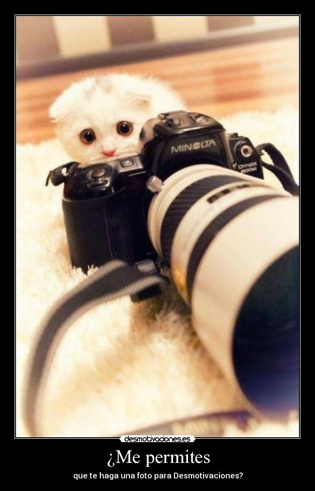 ¿Me permites - que te haga una foto para Desmotivaciones?