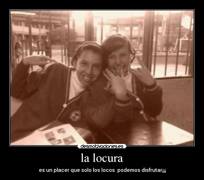 carteles locura locura desmotivaciones