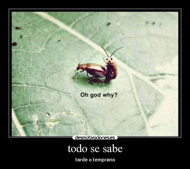 todo se sabe -