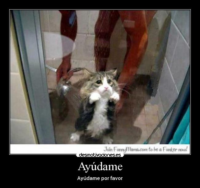 Ayúdame - Ayúdame por favor