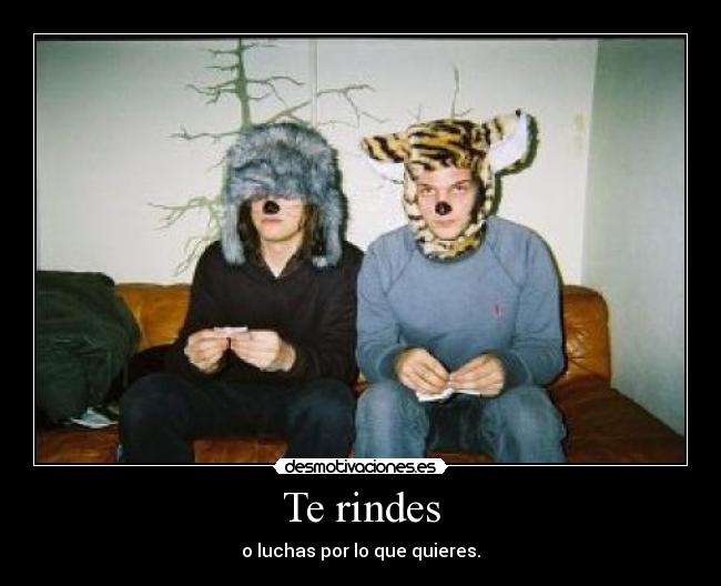 Te rindes - o luchas por lo que quieres.
