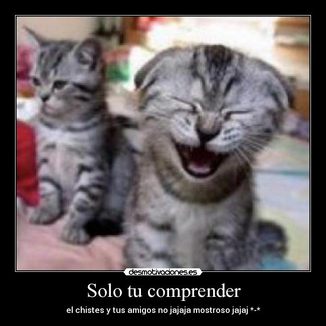 carteles roxana zambrano desmotivaciones