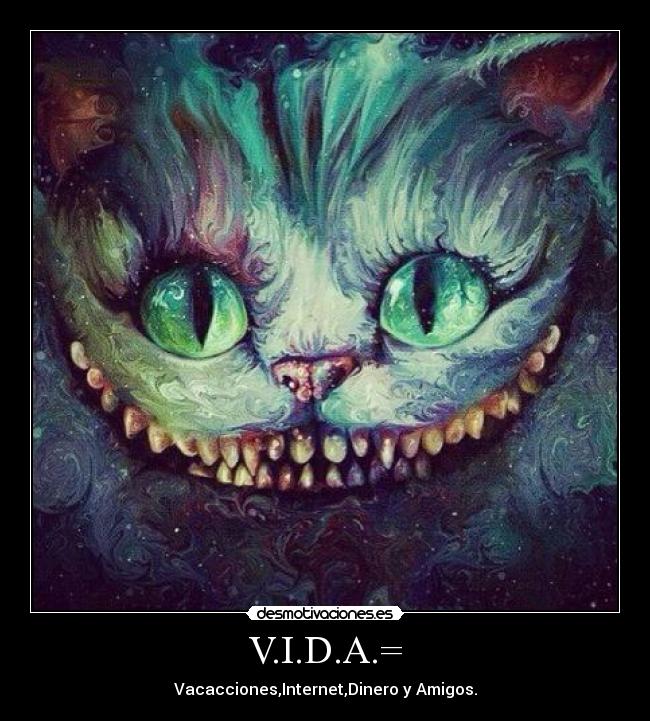 V.I.D.A.= - 