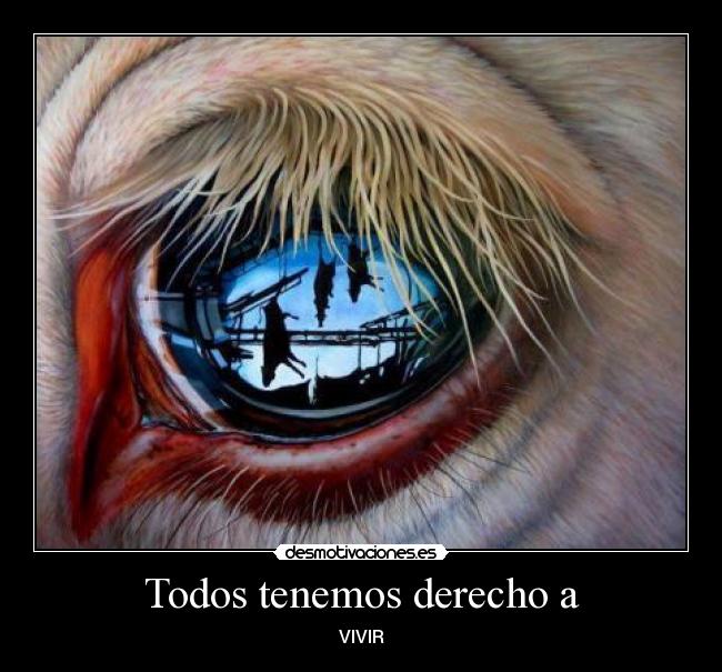 Todos tenemos derecho a -