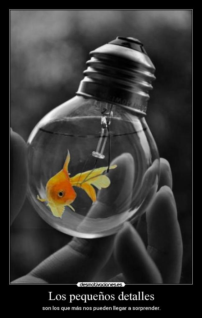 carteles manelperez detalle pez bombilla desmotivaciones