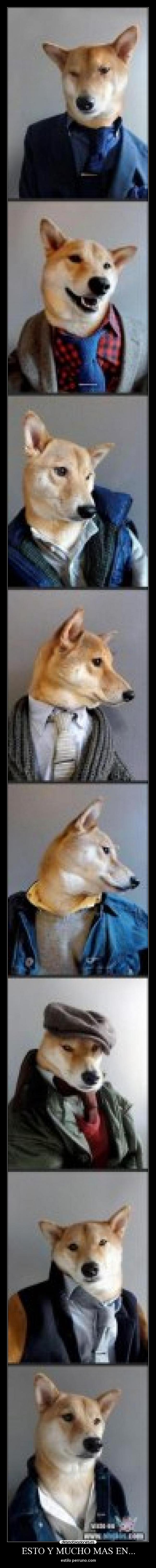 ESTO Y MUCHO MAS EN... - estilo perruno.com