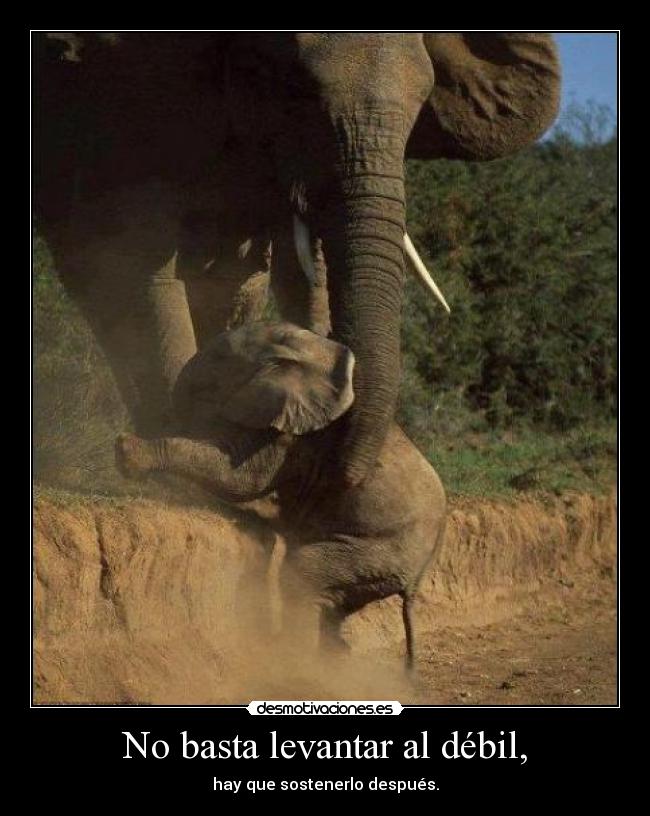 No basta levantar al débil, -