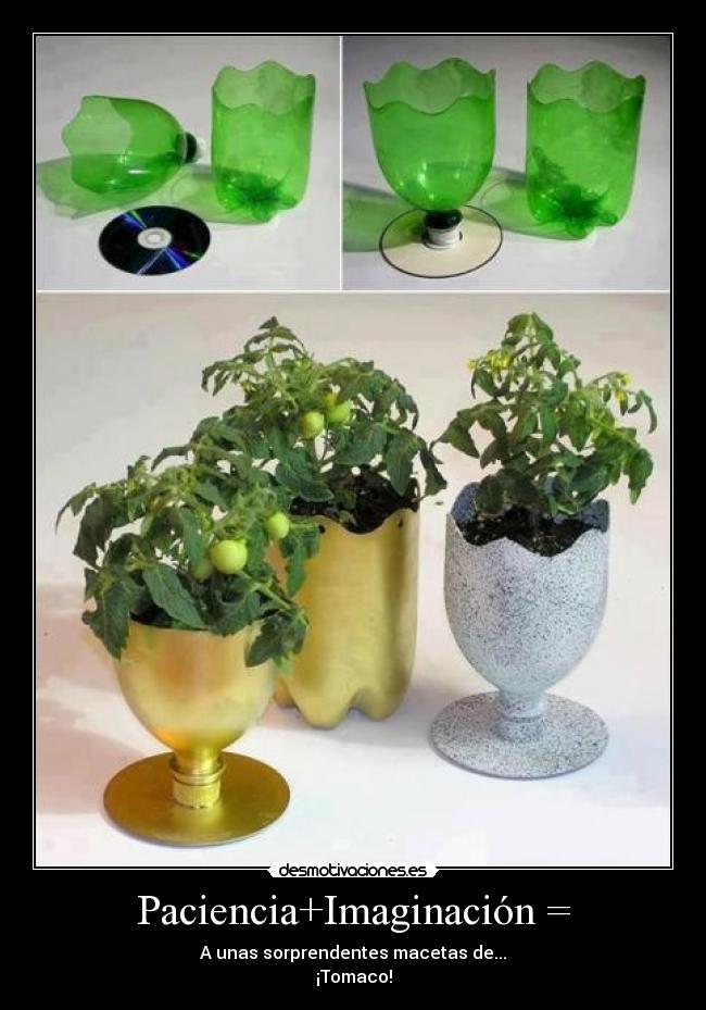 Paciencia+Imaginación = - A unas sorprendentes macetas de...
¡Tomaco!