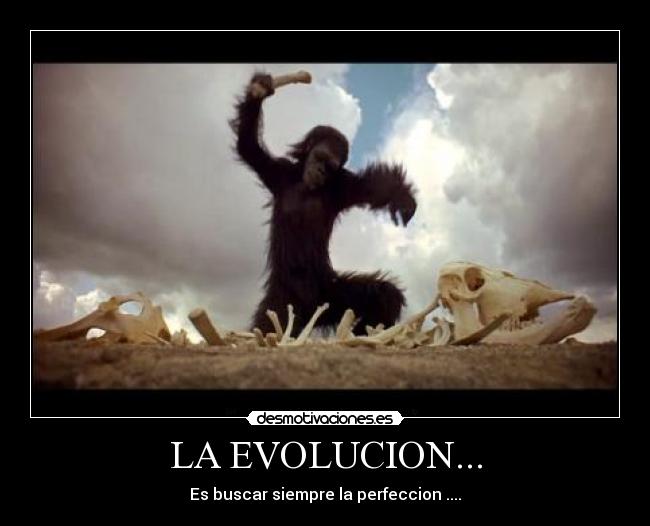 LA EVOLUCION... - Es buscar siempre la perfeccion ....