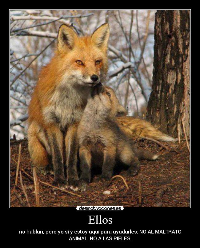 Ellos - no hablan, pero yo sí y estoy aquí para ayudarles. NO AL MALTRATO
ANIMAL. NO A LAS PIELES.