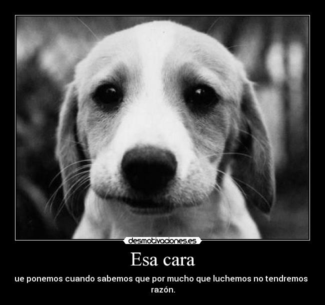 Esa cara - que ponemos cuando sabemos que por mucho que luchemos no tendremos la razón.