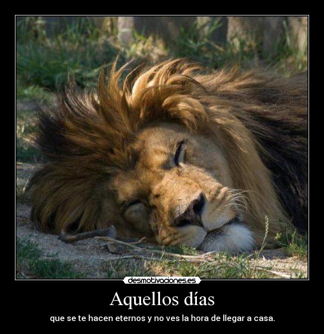 Aquellos días - que se te hacen eternos y no ves la hora de llegar a casa.