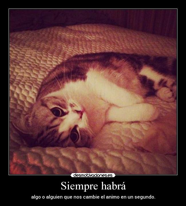 Siempre habrá - algo o alguien que nos cambie el animo en un segundo.