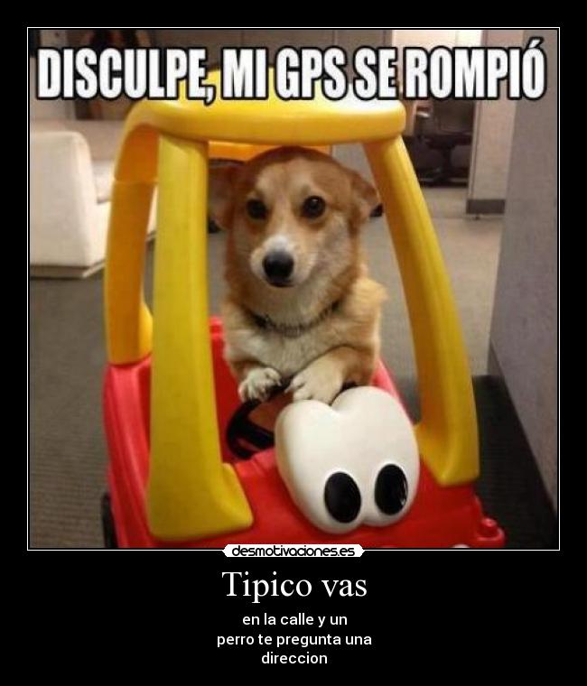 Tipico vas -