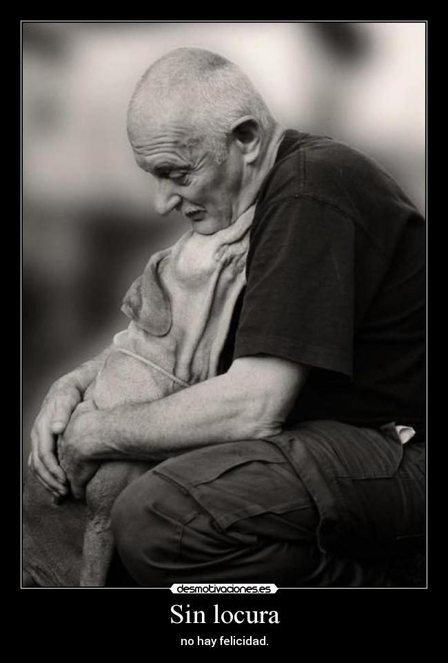 Sin locura - no hay felicidad.