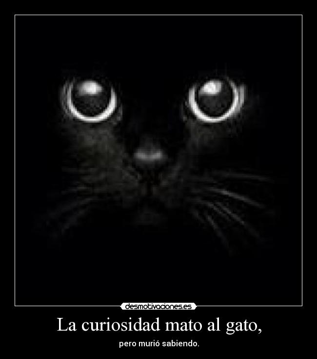 La curiosidad mato al gato, - pero murió sabiendo.