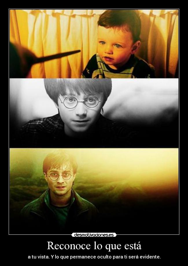 Reconoce lo que está - a tu vista. Y lo que permanece oculto para ti será evidente.