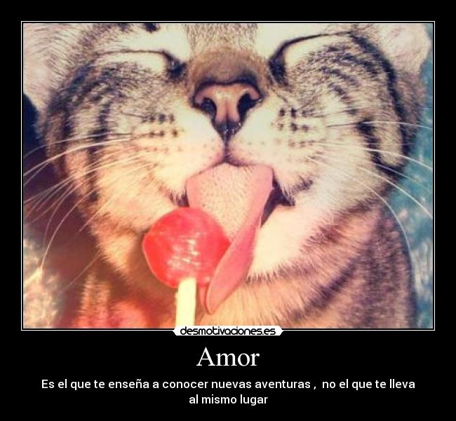 Amor -