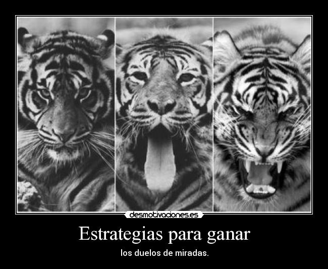 Estrategias para ganar - 