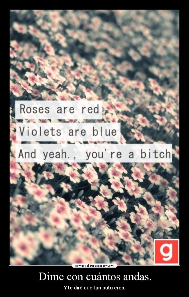 Dime con cuántos andas. - Y te diré que tan puta eres.