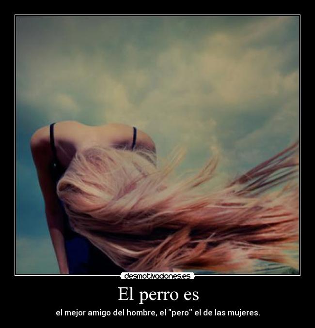 El perro es - el mejor amigo del hombre, el pero el de las mujeres.