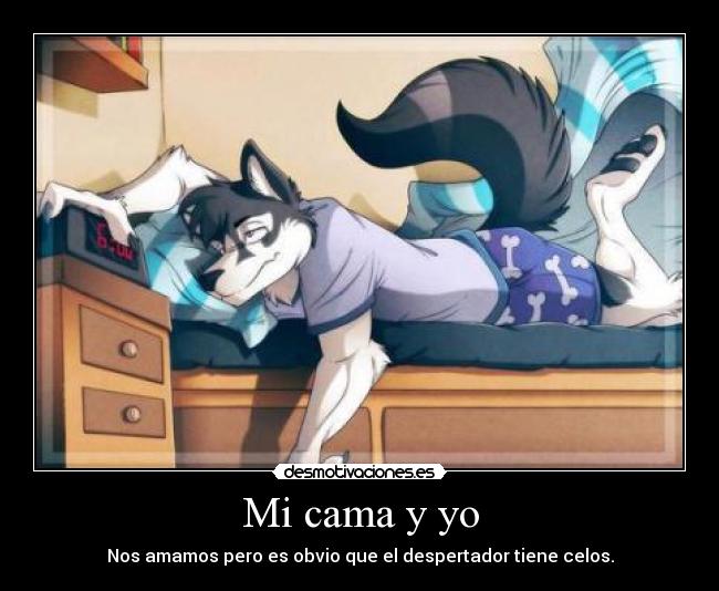 carteles cama furry desmotivaciones