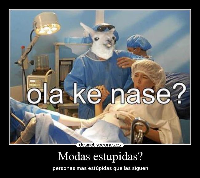 Modas estupidas? - personas mas estúpidas que las siguen