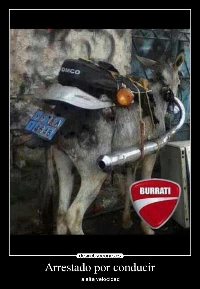 Arrestado por conducir - a alta velocidad