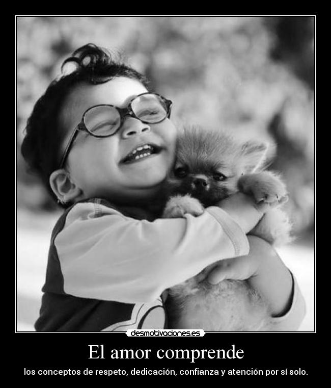 El amor comprende - 