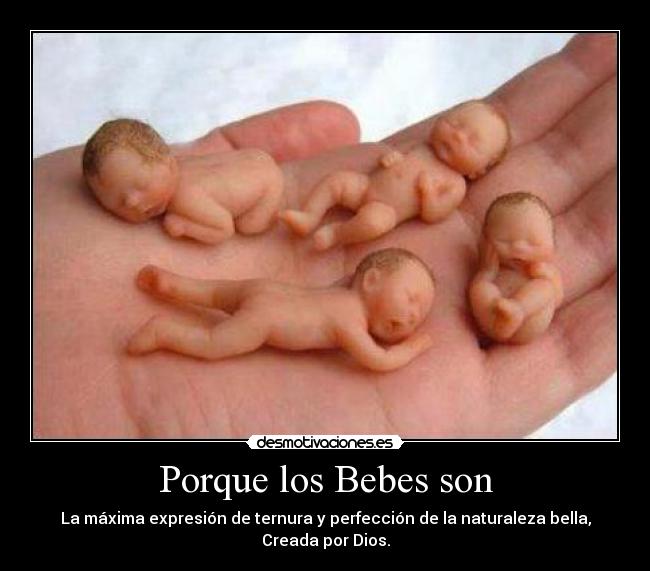 Porque los Bebes son - La máxima expresión de ternura y perfección de la naturaleza bella, Creada por Dios.